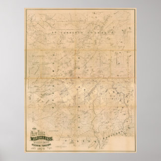 Póster El área salvaje de Nueva York. Mapa de 1879.