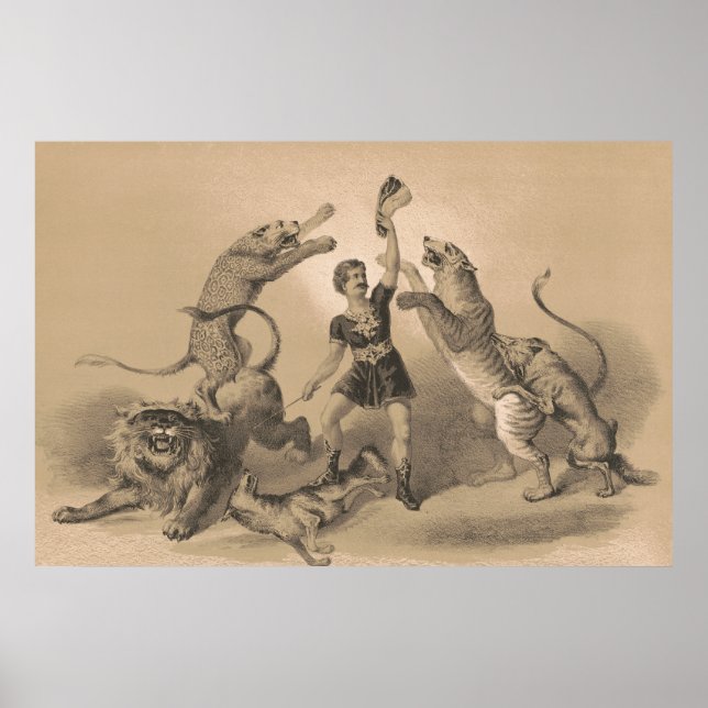 Póster El artista del circo se alza entre los animales vi (Frente)