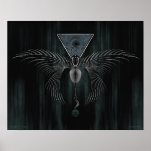 Póster El aumento de los esquemas