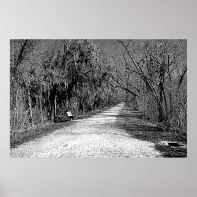 Póster El banco (Frente)