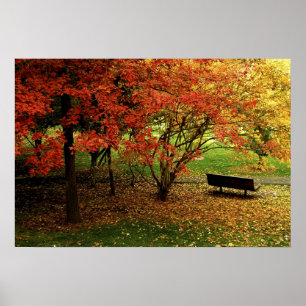Póster El banco de otoño