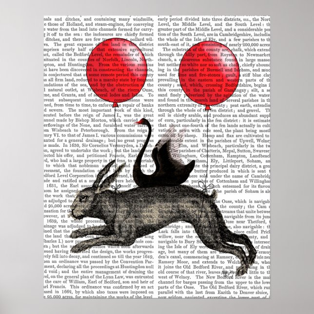 Póster El Barco de la Cuerda (Frente)