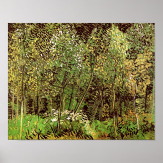 Póster El Bella Artes Van Gogh de Grove (F817)