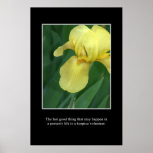 Póster El bien de un voluntario del hospicio