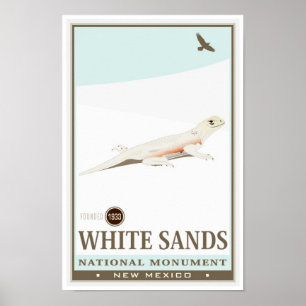 Póster El blanco enarena el monumento nacional 2