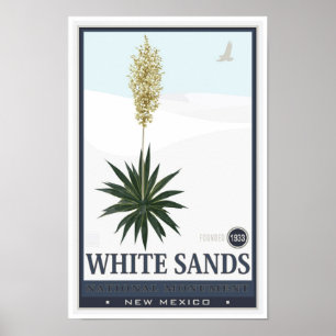 Póster El blanco enarena el monumento nacional 3