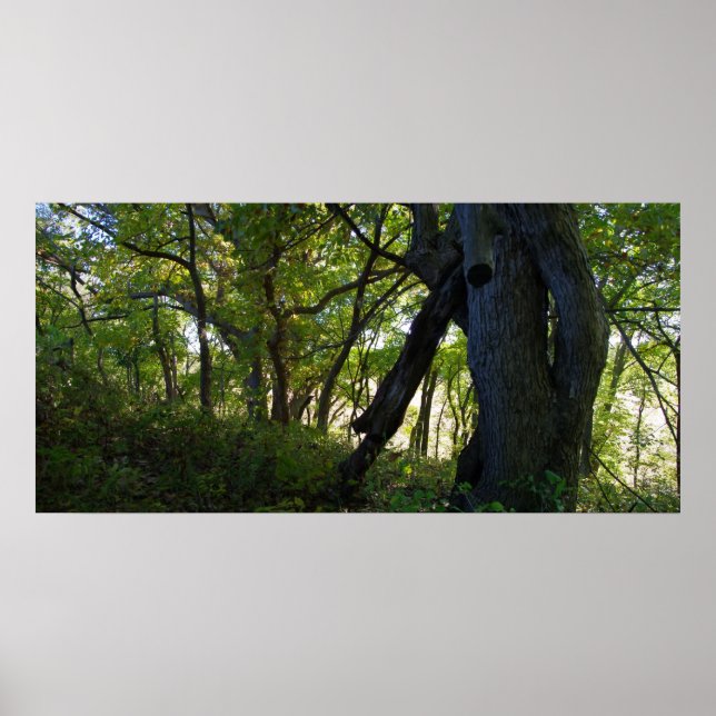 Póster El bosque (Frente)