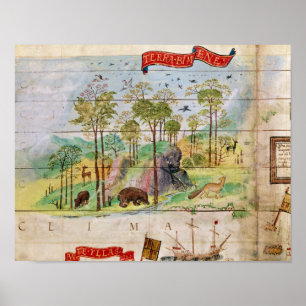 Póster El bosque canadiense