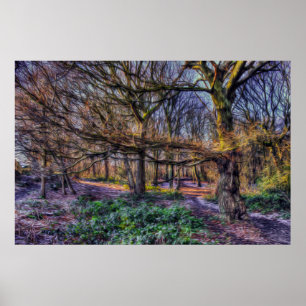 Póster El bosque encantado 1