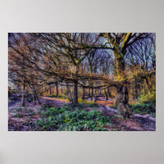 Póster El bosque encantado 1