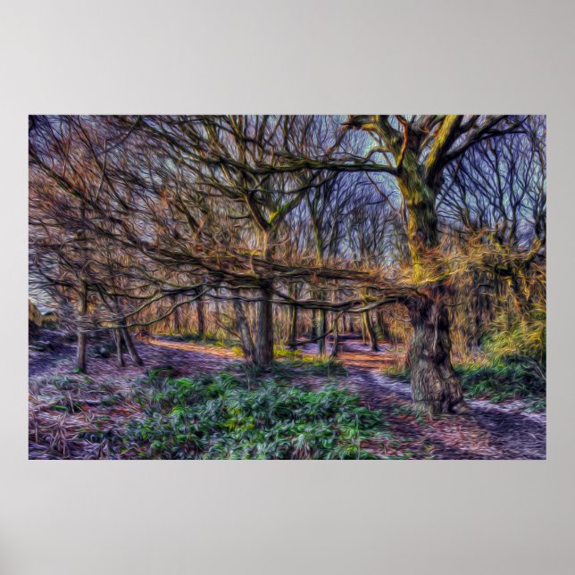 Póster El bosque encantado 1 (Frente)