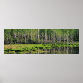 Póster El bosque esmeralda