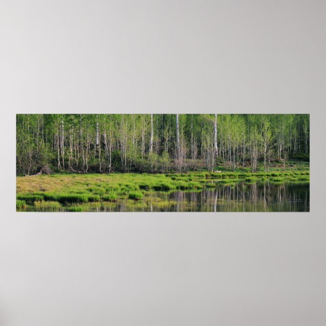 Póster El bosque esmeralda (Frente)