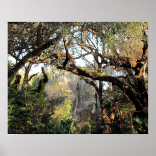 Póster El bosque mágico