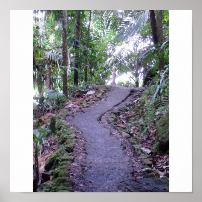 Póster El bosque nacional Yunque (Frente)