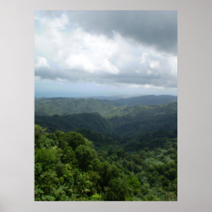Póster El bosque nacional Yunque