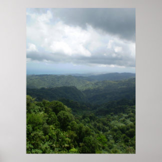 Póster El bosque nacional Yunque