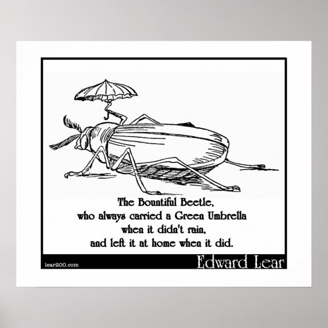 Póster El Bountiful Beetle (Frente)