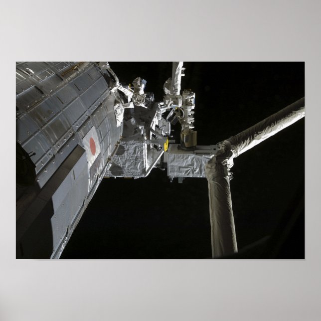 Póster El brazo robótico del Experimento japonés Modu (Frente)