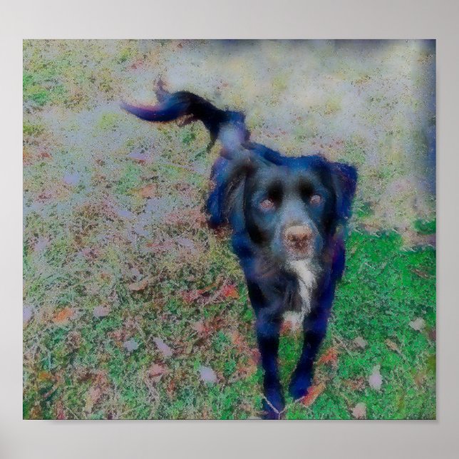 Póster El brillo del humo en la pintura de fibras brillan (Frente)