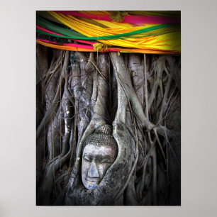 Póster El Buda Y El Árbol De La Fotografía Tailandesa Del