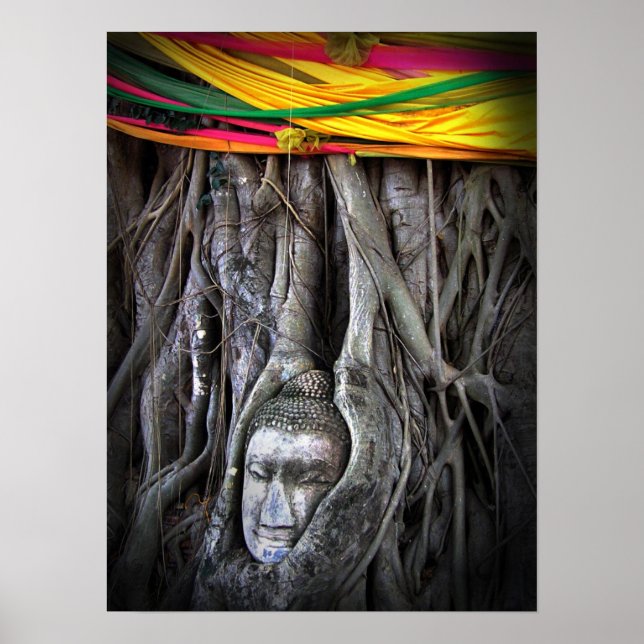 Póster El Buda Y El Árbol De La Fotografía Tailandesa Del (Frente)
