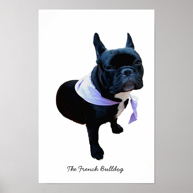 Póster El Bulldog francés (Frente)
