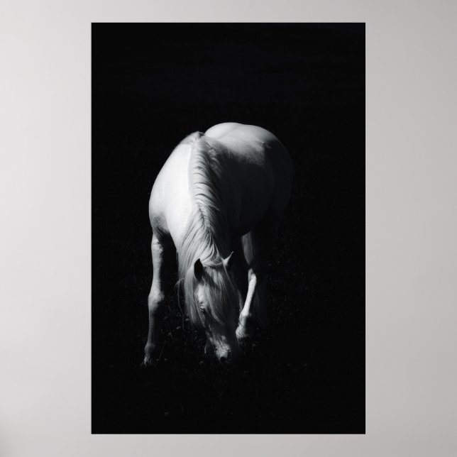 Póster El caballo blanco (Frente)