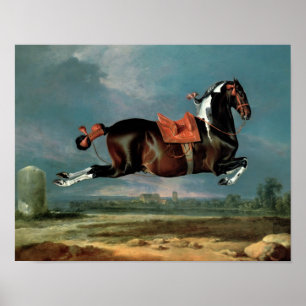 Póster El caballo picazo "Cehero" que se alza
