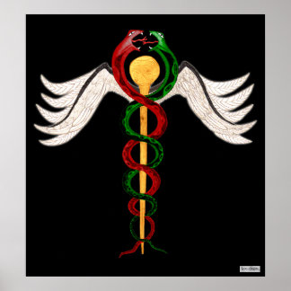 Póster El Caduceo