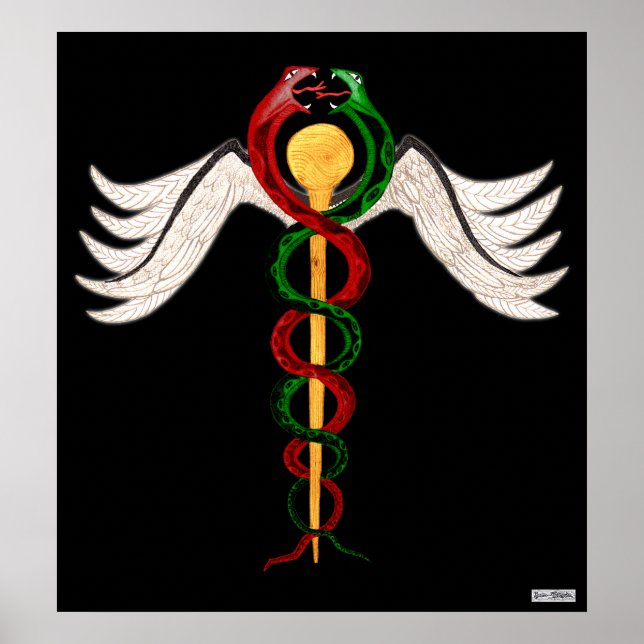 Póster El Caduceo (Frente)