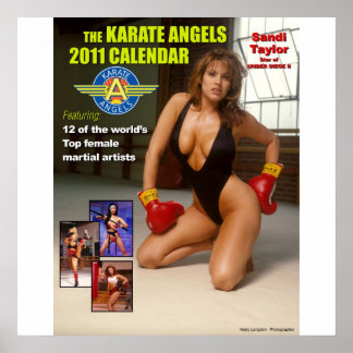 Póster El calendario_2011_Karate_Angels_Calendar