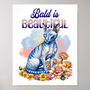 Póster El calvo es hermoso   Gato sin pelo