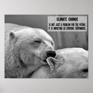 Póster El cambio climático en blanco y negro con osos pol