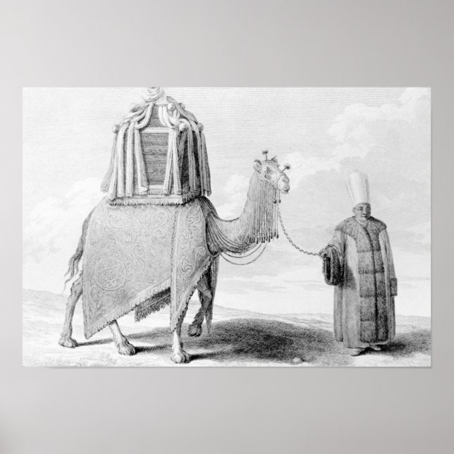 Póster El camello sagrado (Frente)