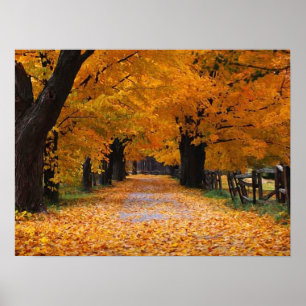 Póster El caminar abajo del tiempo pasado del otoño