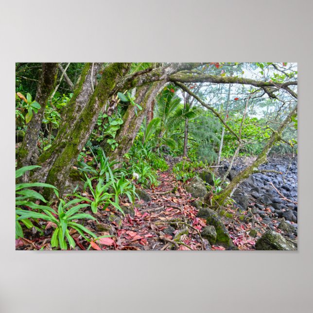 Póster El camino de Kalalau, costa de Napali, Kauai, Hawa (Frente)