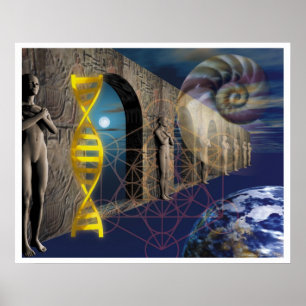 Póster El camino de la evolución