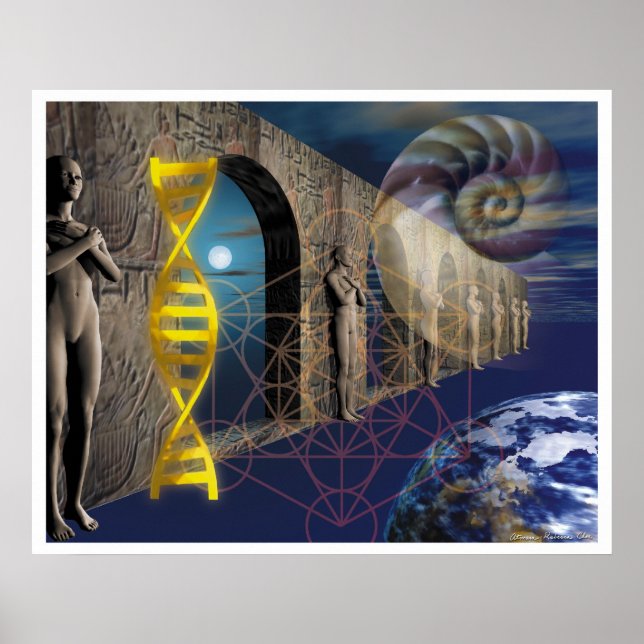 Póster El camino de la evolución (Frente)