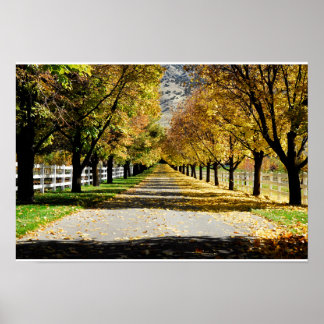 Póster El camino de los colores