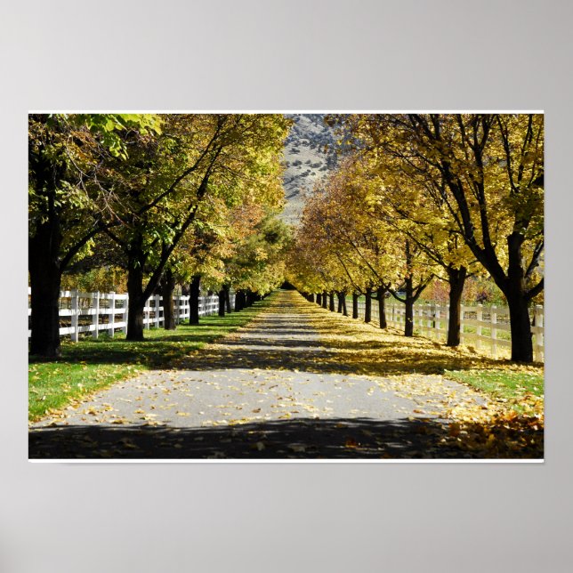 Póster El camino de los colores (Frente)