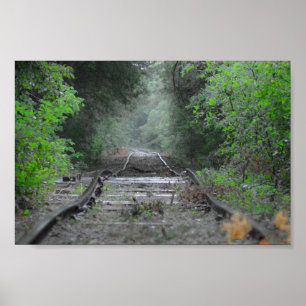 Póster El camino menos transitado