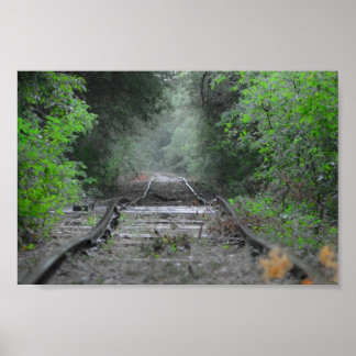 Póster El camino menos transitado