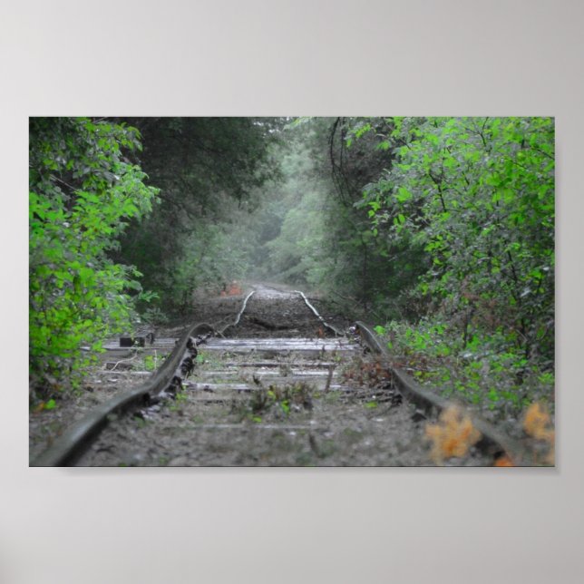 Póster El camino menos transitado (Frente)