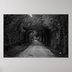 Póster El camino oscuro