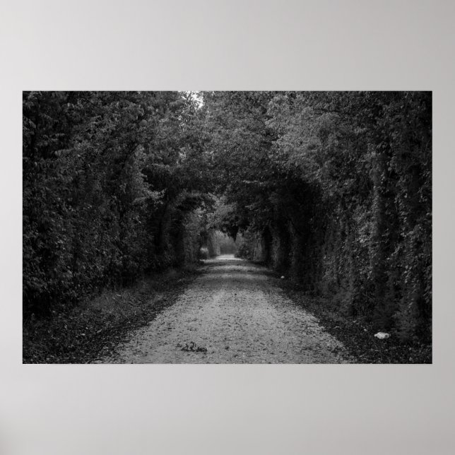 Póster El camino oscuro (Frente)