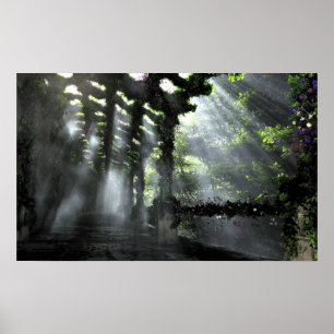 Póster El camino sombreado