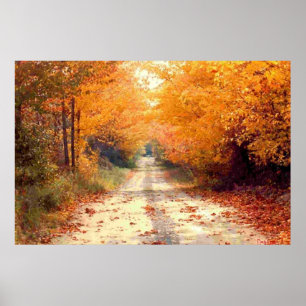 Póster El camino viajó menos