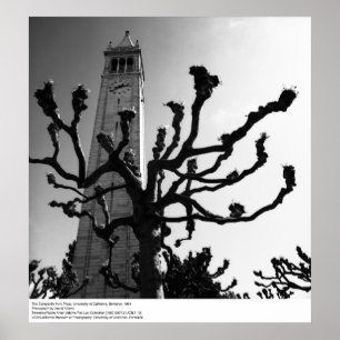 Póster El campanil de Plaza, Uc Berkeley, 1964