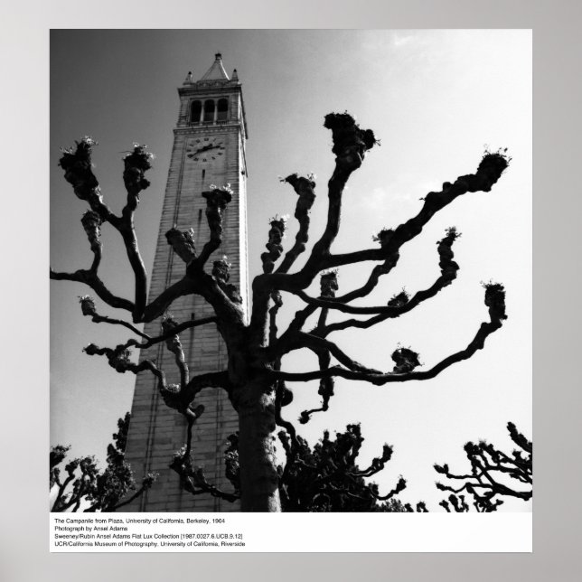 Póster El Campanile de Plaza, UC Berkeley, 1964 (Frente)